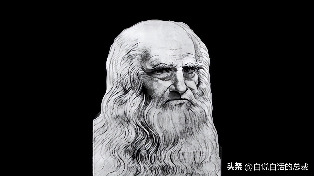 达芬奇一生最大的成就有哪些,达芬奇真实的故事