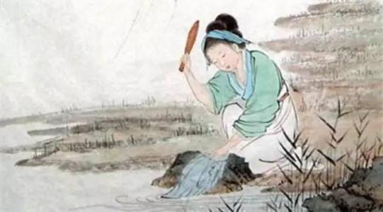 皂荚树现在还有吗,皂荚树经历辉煌又被嫌弃