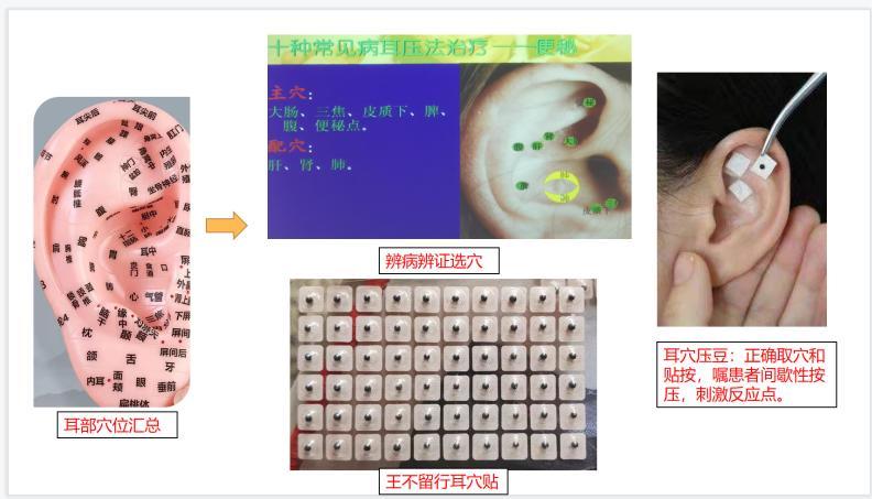 中医肛肠和中西医结合肛肠,菊花根治肛肠病