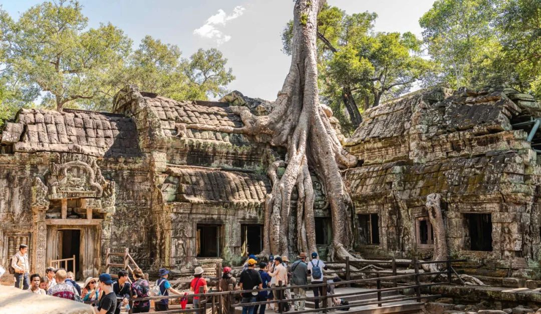 多条国际航线陆续开通和恢复,最新多条国际航线陆续开通和恢复