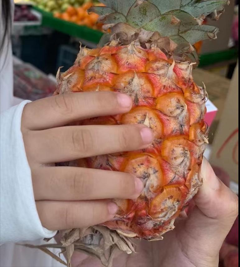 班班吃凤梨,台湾学生被迫吃凤梨