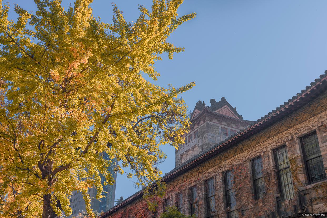 北大历年文学考研真题,河大中国语言文学考研真题