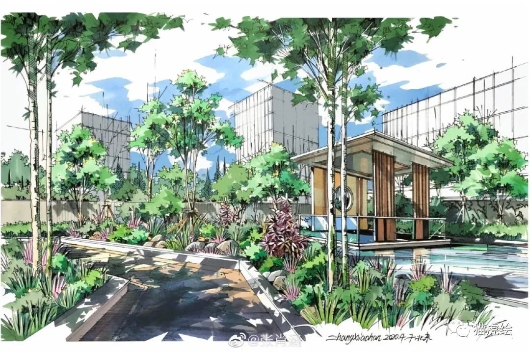 2022猫虎绘暑假手绘班招生简章「线上+线下」