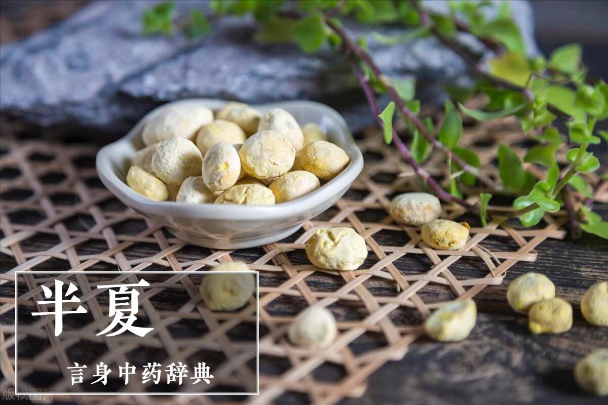 半夏化痰方,半夏化痰散结的中药