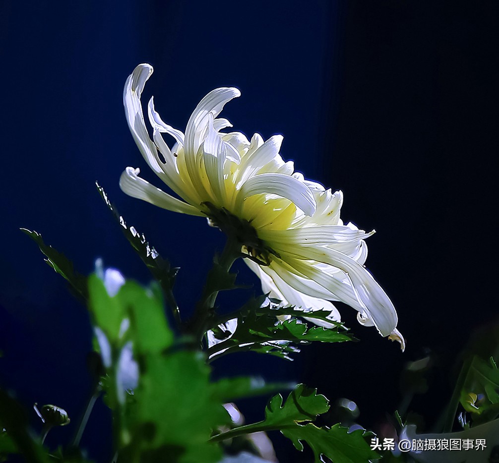 你拍的照片不够唯美,你拍的照片不清晰是怎么回事