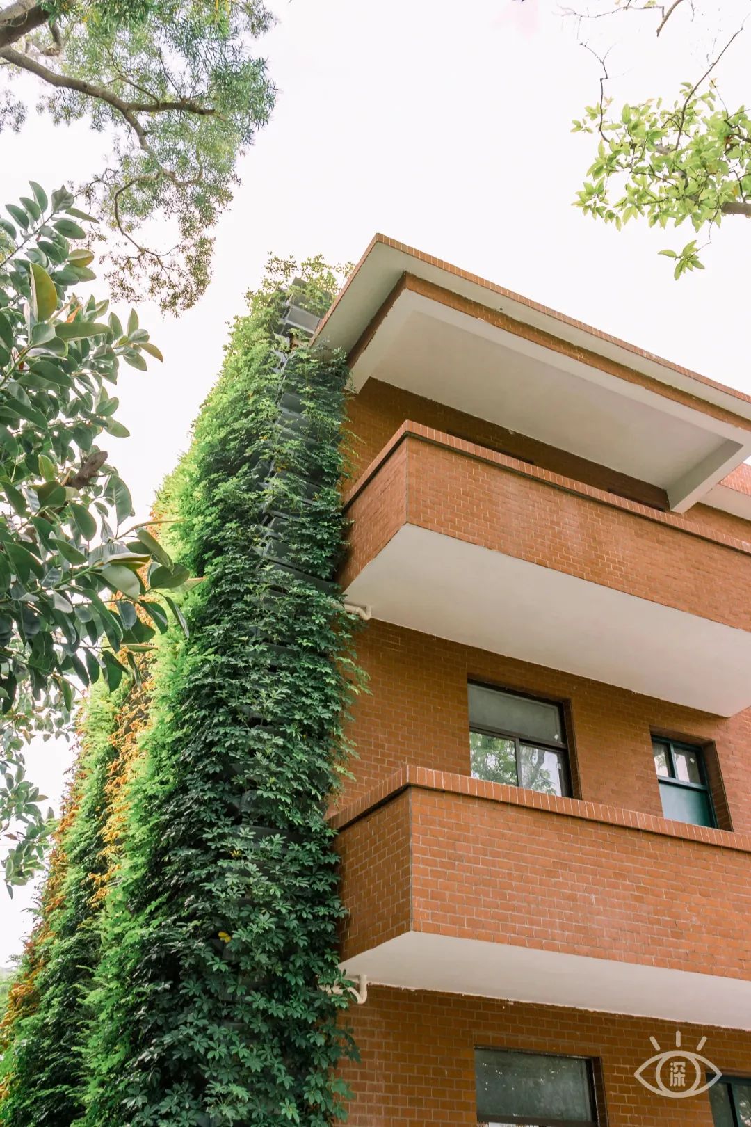 不用出国在深圳看到的美景,深圳有什么景点去看的不要钱的