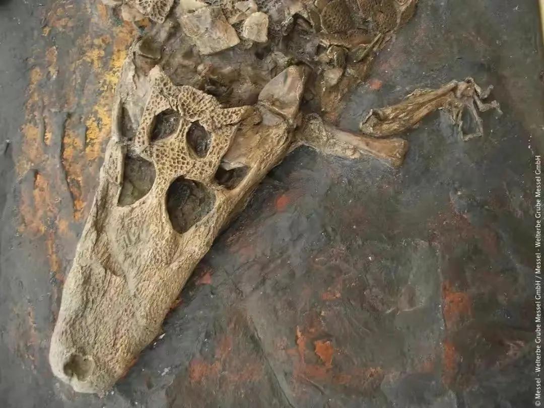 德国世界遗产,德国世界文化遗产前十名