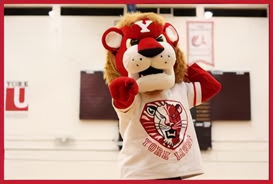 加拿大约克大学和国内大学对比,约克大学英国排名