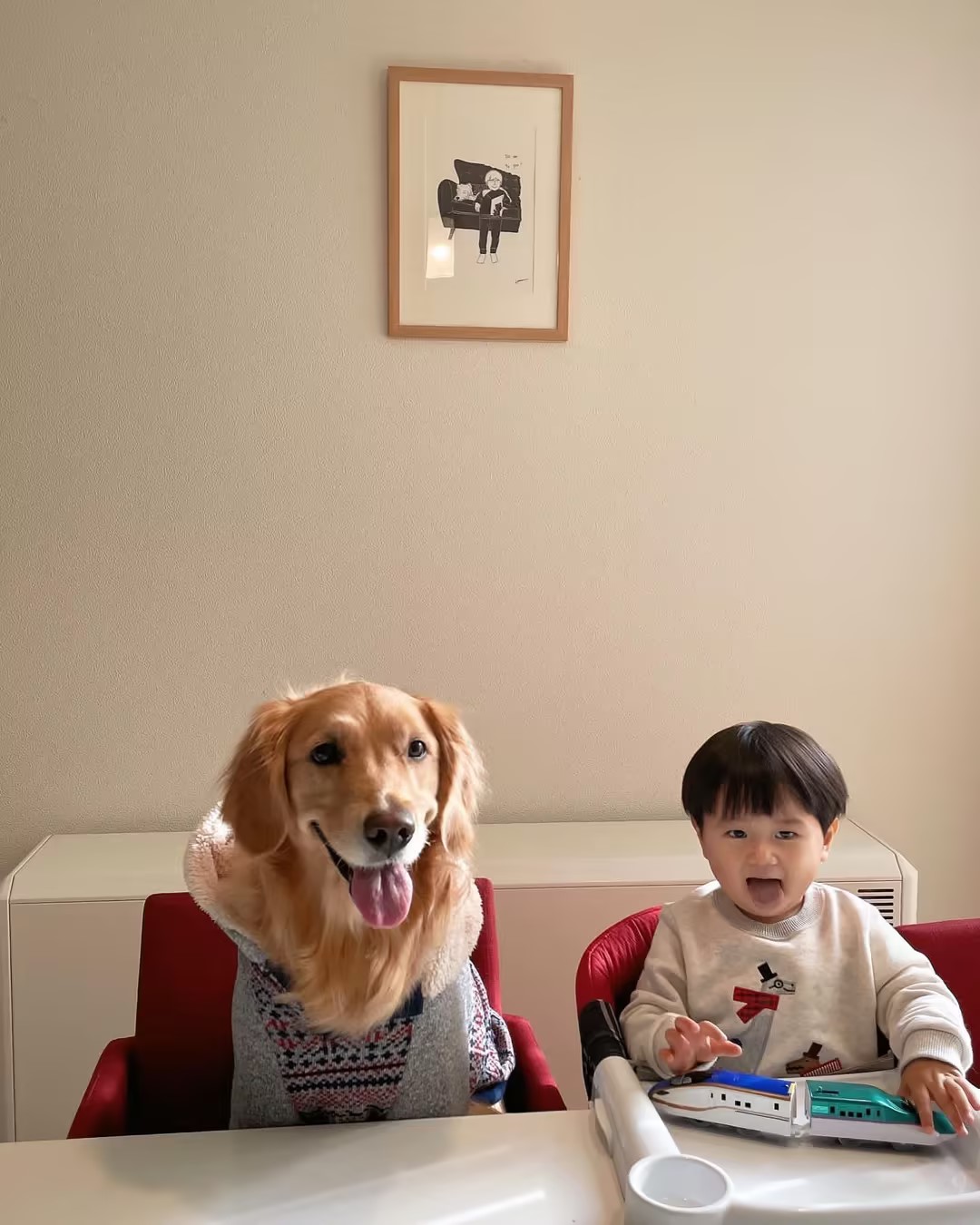 适合家养的最好养的小型宠物狗,最适合儿童饲养的十种宠物狗一览