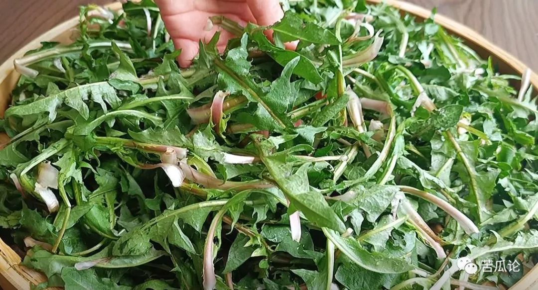 春季“药草之王”，号称养肝第一菜，中老年吃它，排毒，排黑宿便