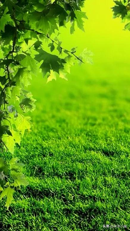 超清超美独一无二手机壁纸图片,养眼养心的壁纸