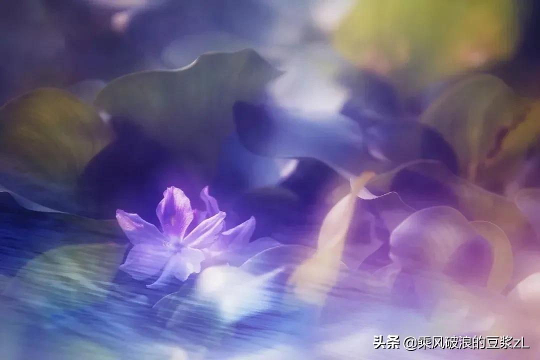 三国演义原文加注释,三国演义文言文带注音