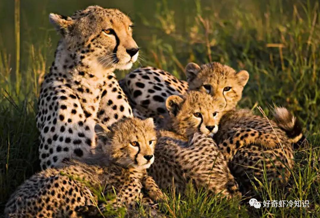 打包的剩菜怎么储存最好,打包剩菜最好的方法