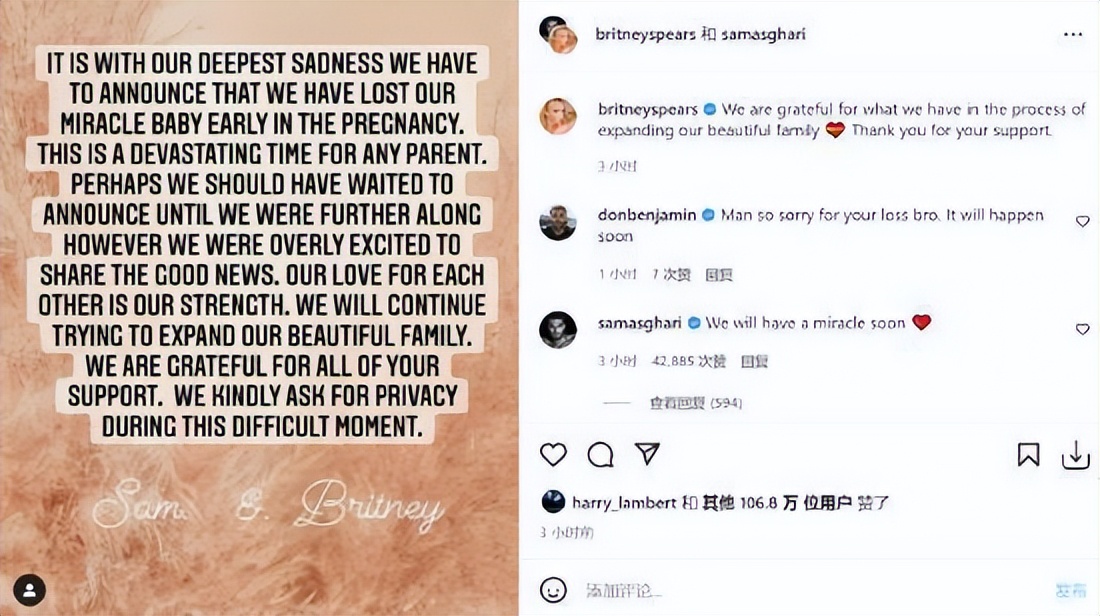 布兰妮被父亲虐待13年,布兰妮被亲生父亲控制了吗