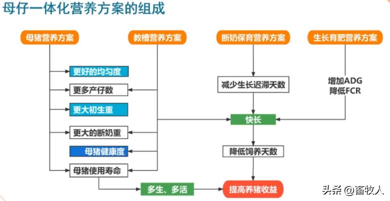 万建美博士:母仔一体化低蛋白猪料配方方案的设计与应用关键
