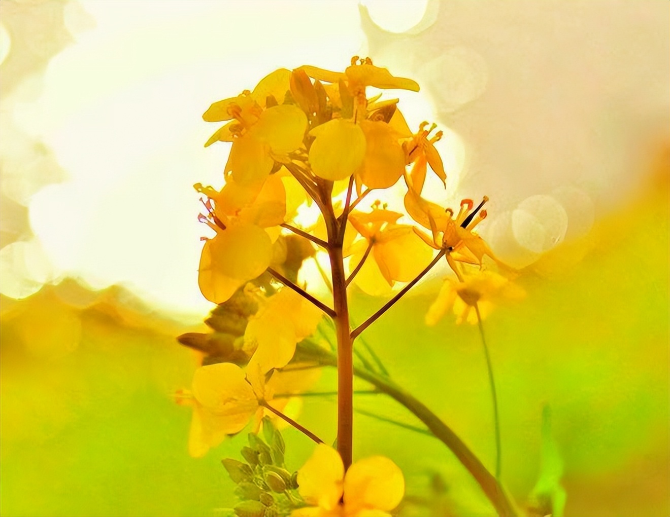 男女之间的10个真相太扎心了,男女之间真正应该了解的是什么