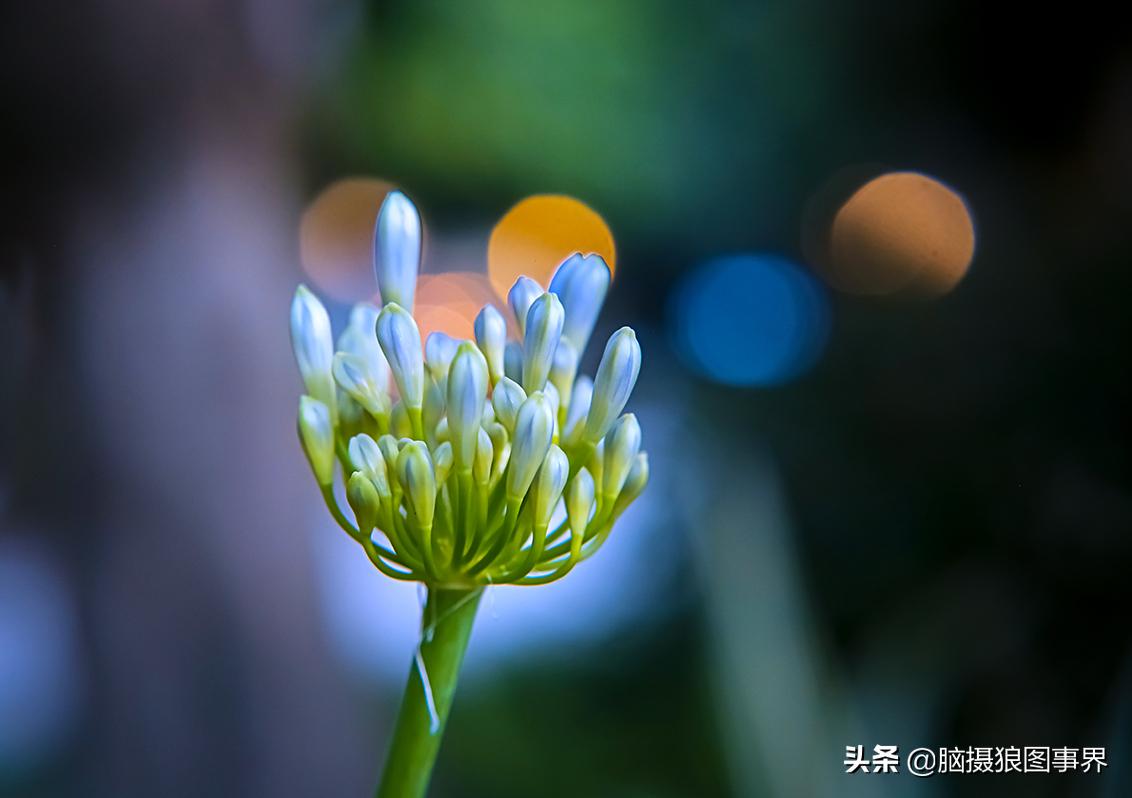 你拍的照片不够唯美,你拍的照片不清晰是怎么回事