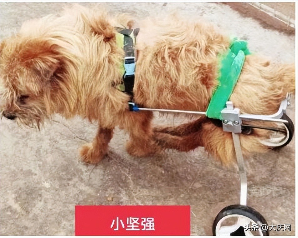 张洪英儿科,张洪英年轻照片