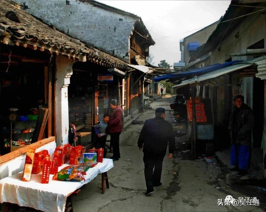 昙花一现老桩,昙花一现