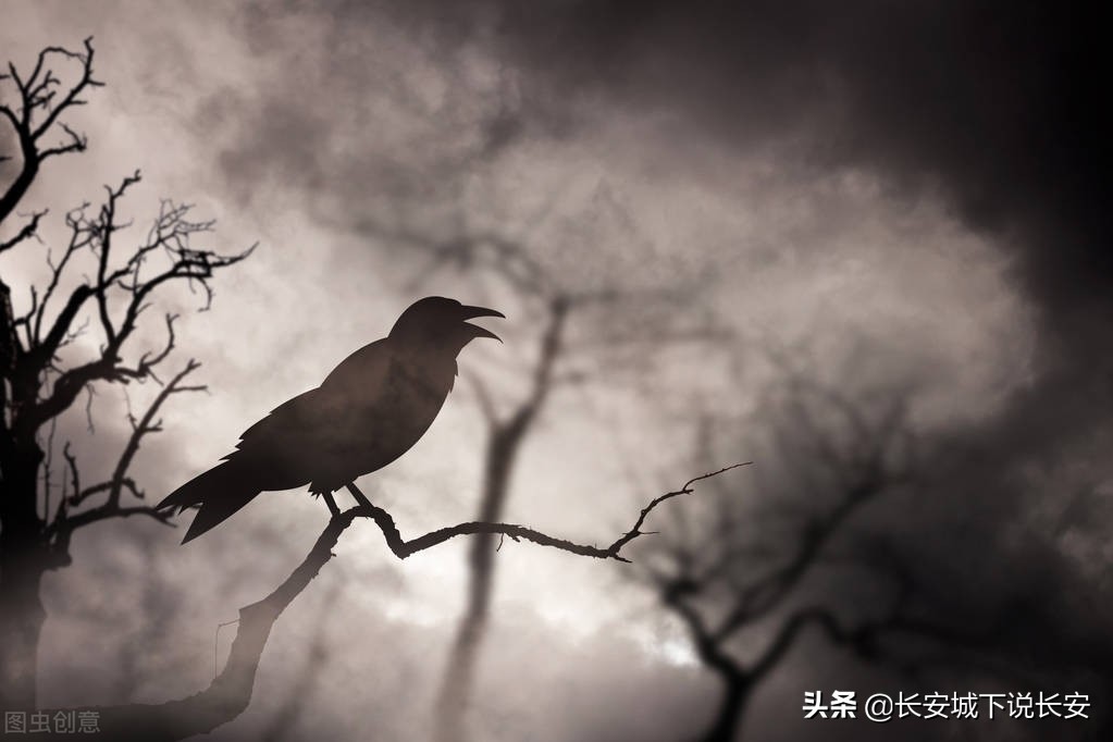 爱屋及乌这句成语对吗,爱屋及乌成语的意思