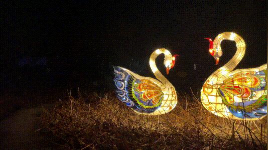 猜灯谜举杯邀明月,猜灯谜元宵佳节