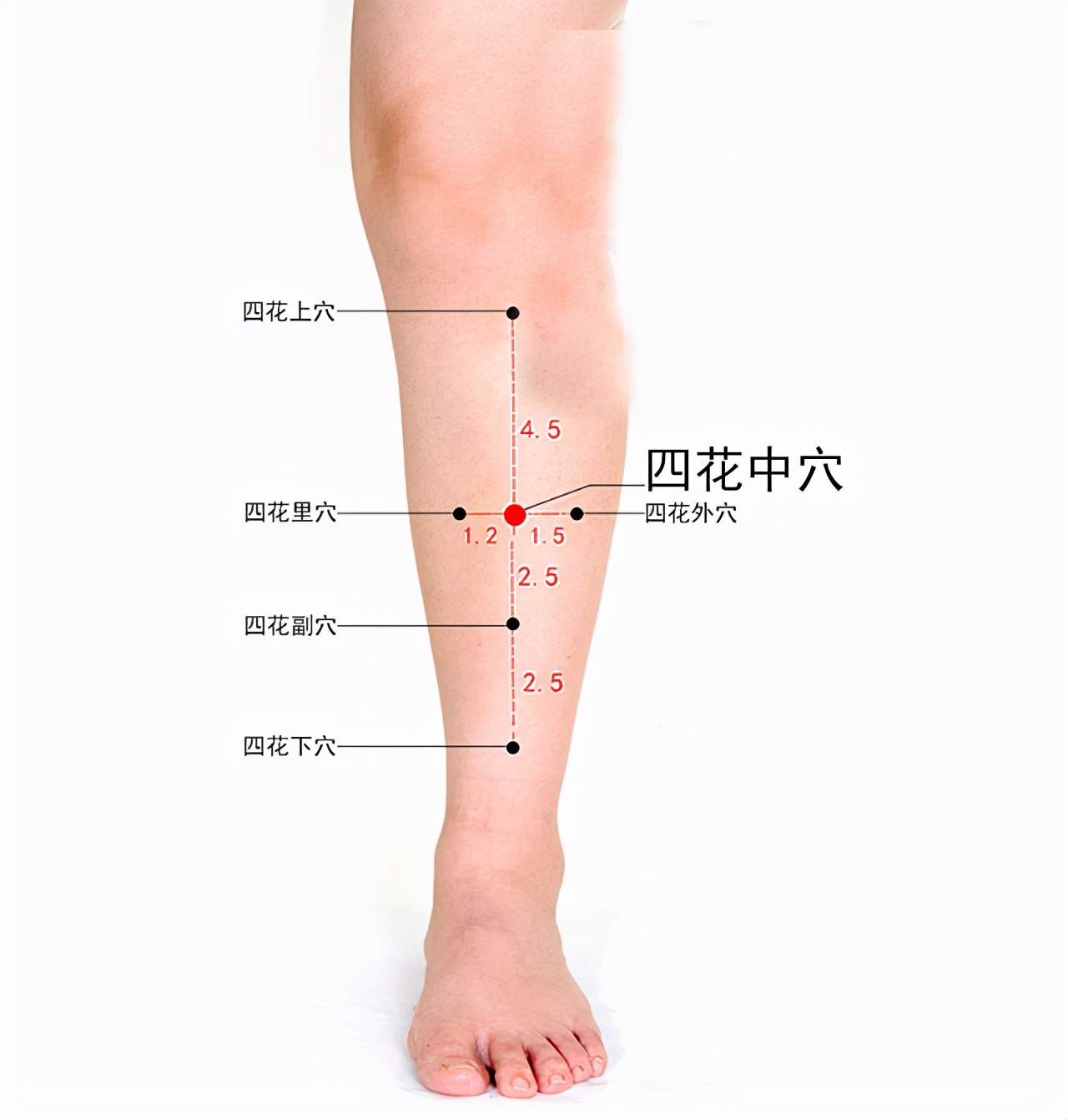 中医经络调理针灸视频,中医针灸规范处方范例