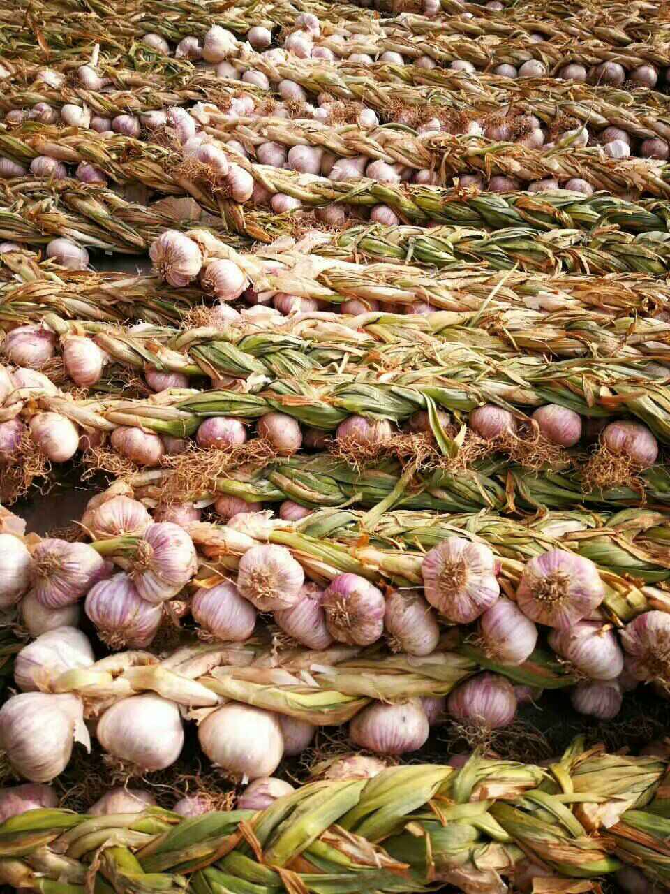 天津的特产什么地方的最正宗,天津著名的特产有哪些