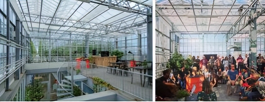 城市旧建筑屋顶的重生※——荷兰海牙德施尔德鱼菜共生农场