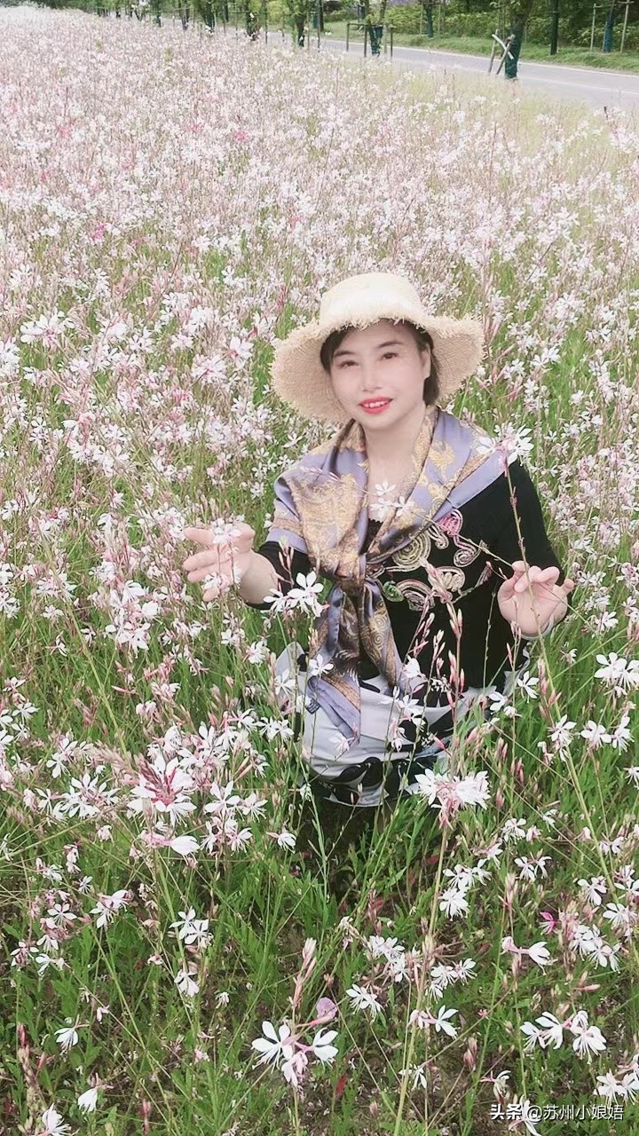 苏州话中的三字句,苏州话基本词语