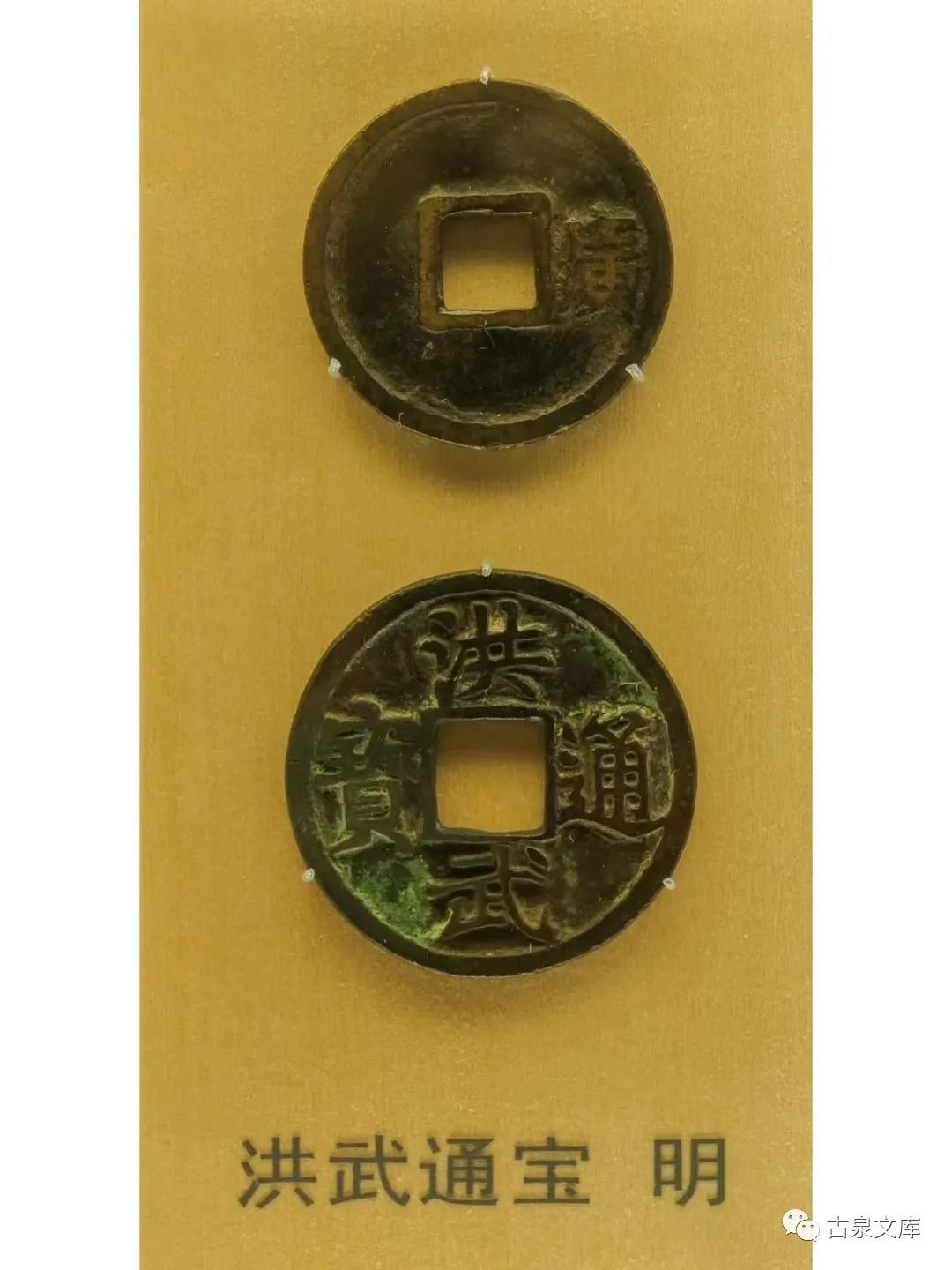 崔淳钱币专家,崔淳钱币