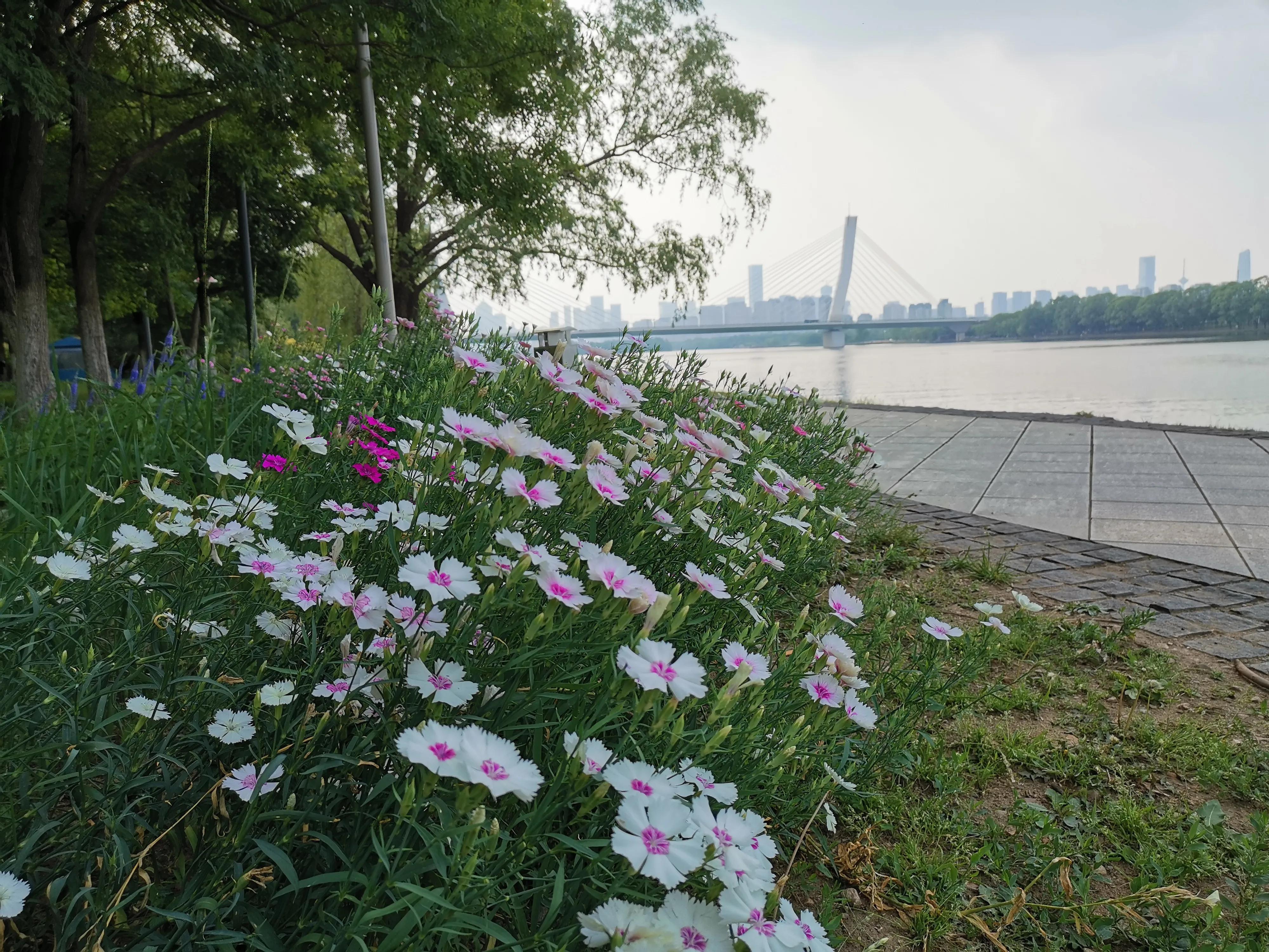 沈阳奥林匹克生态公园划船,浑南滨河公园