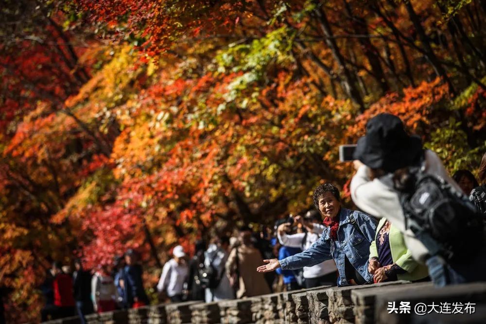 中央一套今日新闻最新消息,中央新闻今日关注回放
