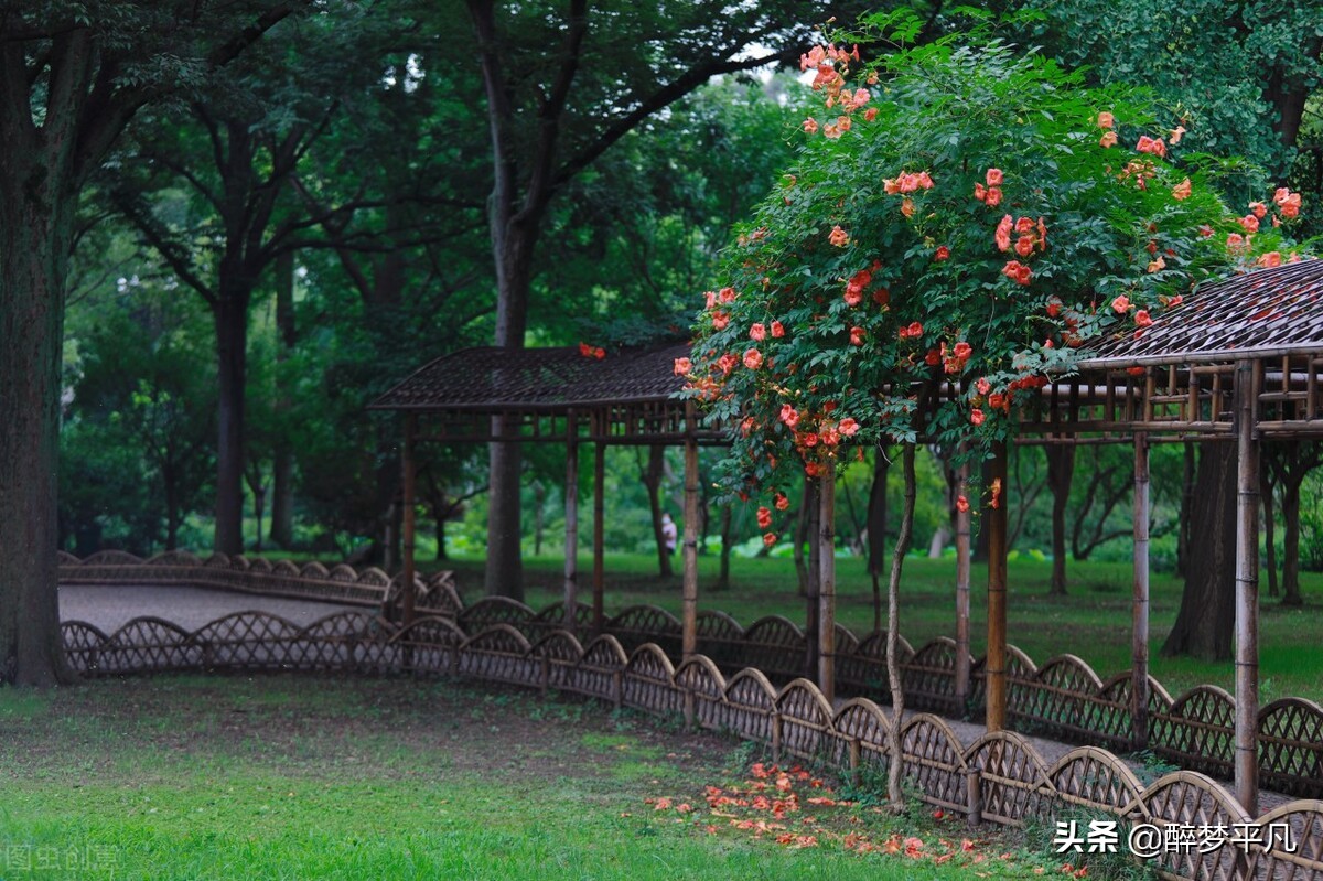 苏州姑苏园林城市,苏州姑苏有多少个园林公园