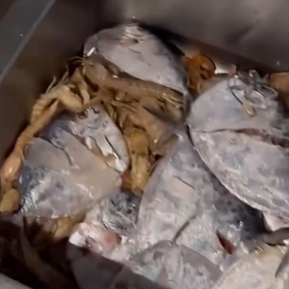 男子买4箱螃蟹发现全是空壳,男子花400元买海鲜没有肉全是空壳