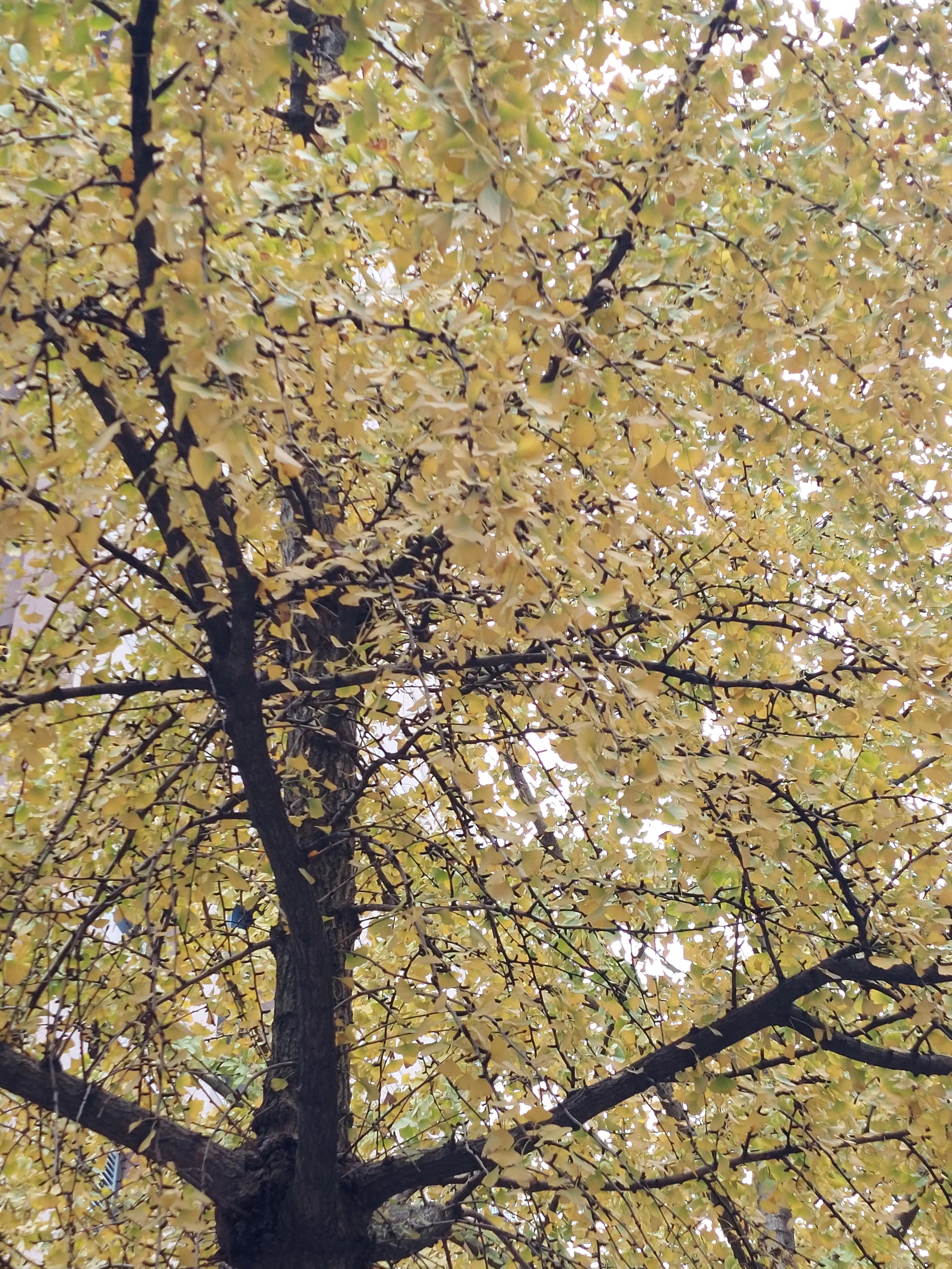 点球大战门将和主罚球员谁压力大,点球大赛门将互点