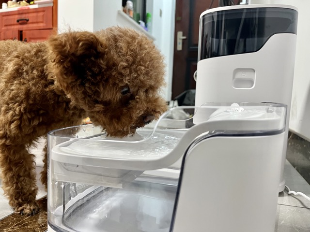 宠咕咕智能宠物饮水机,宠咕咕喂食器测评