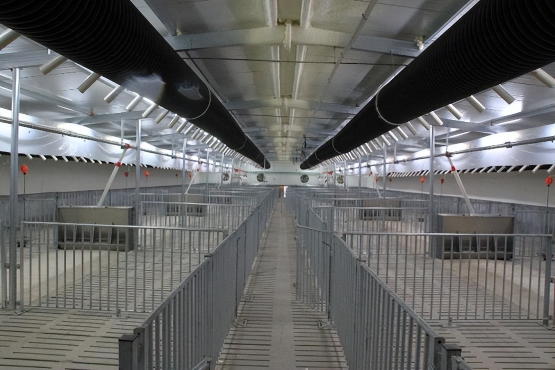 不同阶段猪群采食系数,猪群结构和猪栏配置