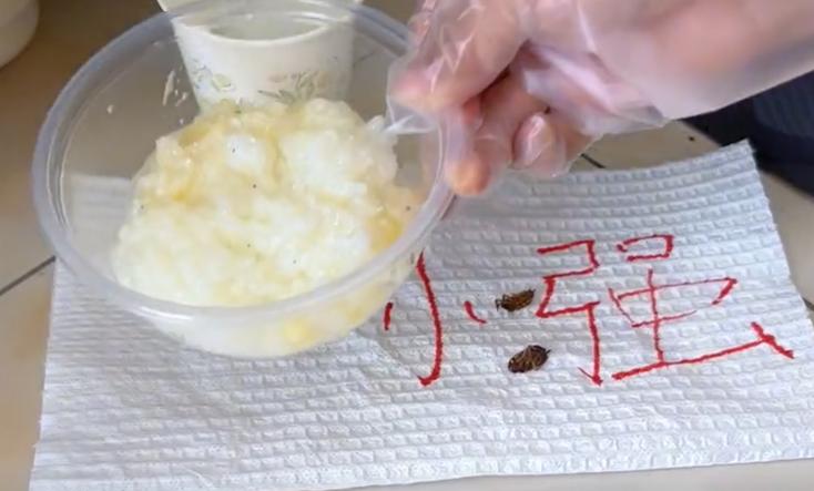 白糖加洗衣粉有很多神奇妙招分享,今天才知道酵母粉的妙用