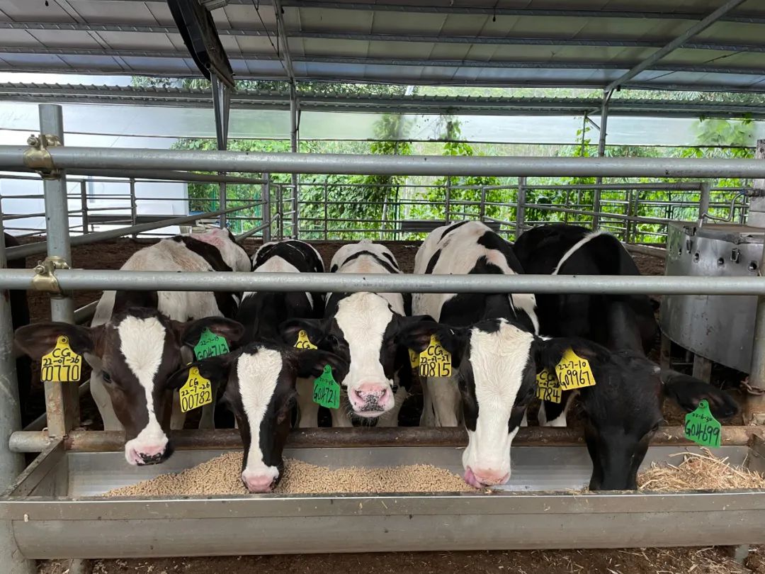 向上突围——云浮高质量发展融媒报道|新兴县村、社区将同步实现年经营收入15万元以上