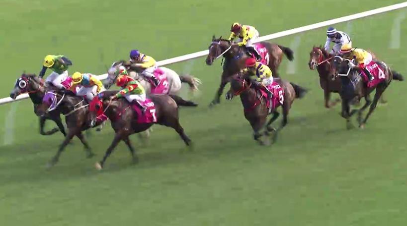 精英碟沈集成双龙出海冀能夺标而回