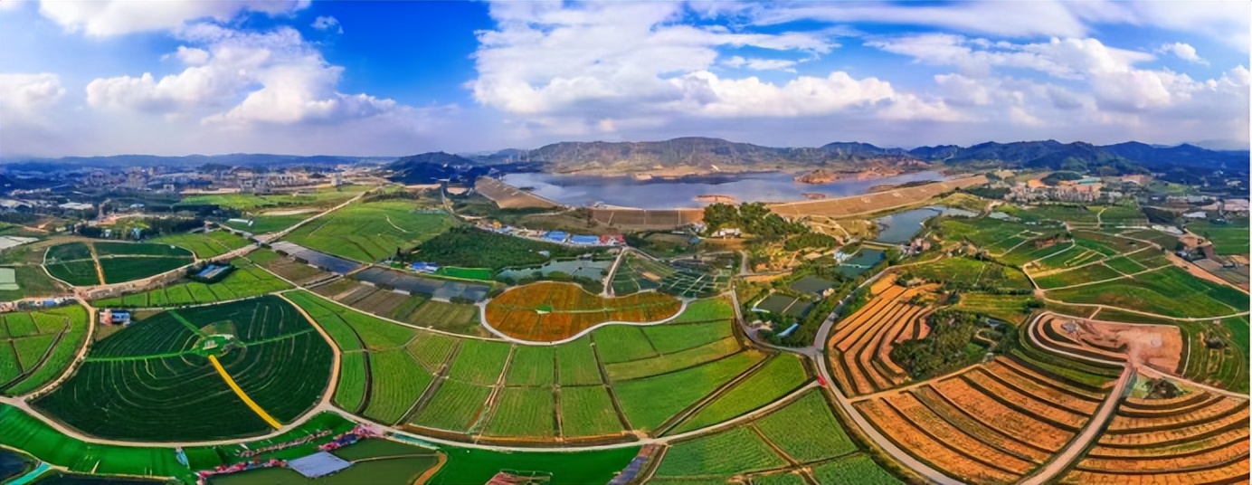 央视对农民富起来的评价,央视关注乡村