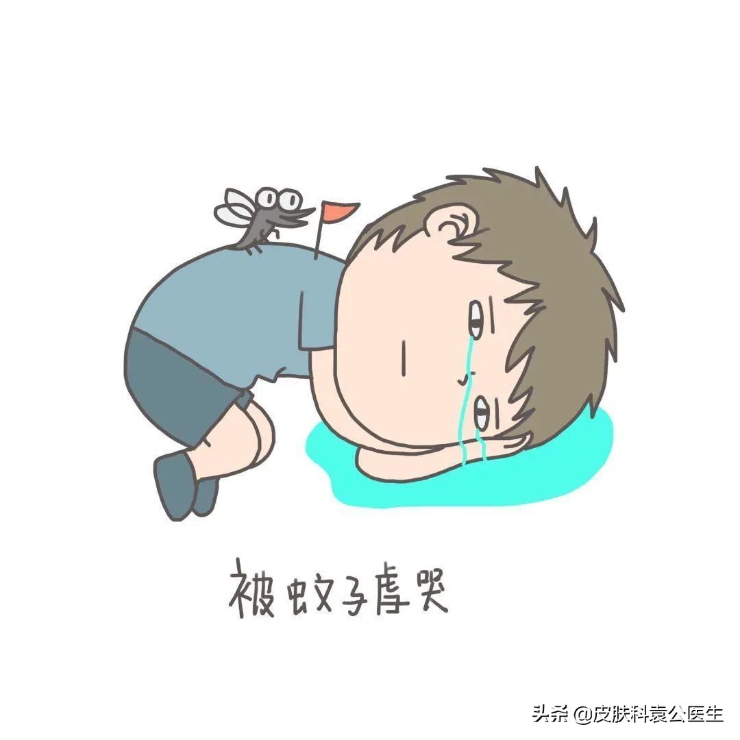 儿童被蚊虫叮咬导致过敏性皮炎,各类虫子叮咬后皮肤都有哪些症状