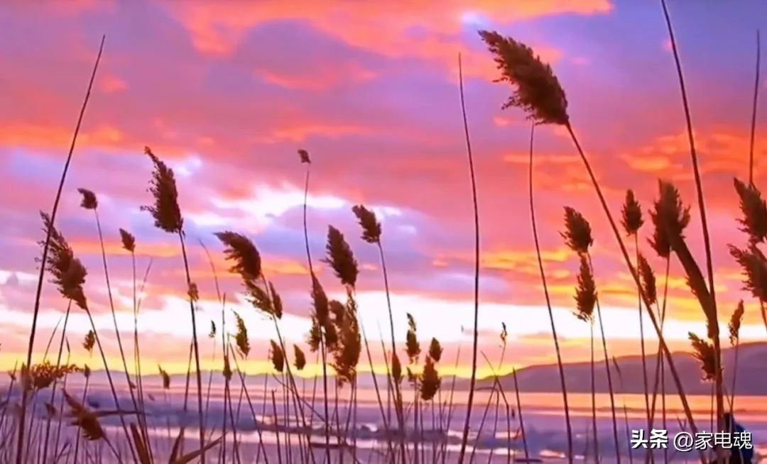 回天无力，西安自此再无国美！