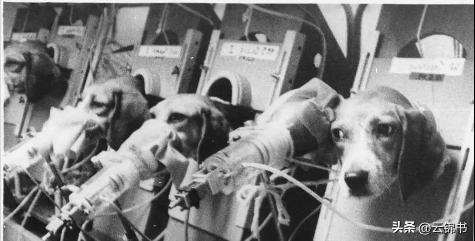 日军在湖南省武冈的暴行,日军进村抢掠案