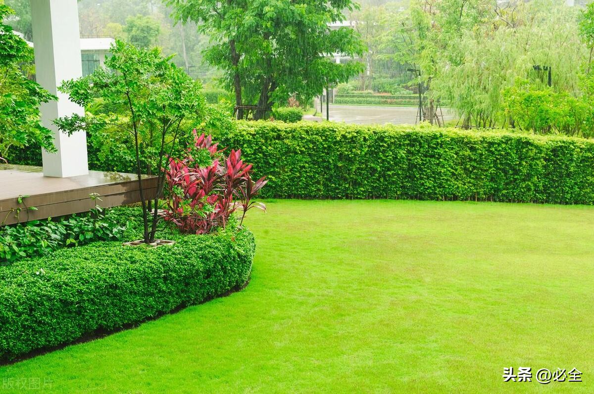 园林草坪要做什么,草坪景观布置