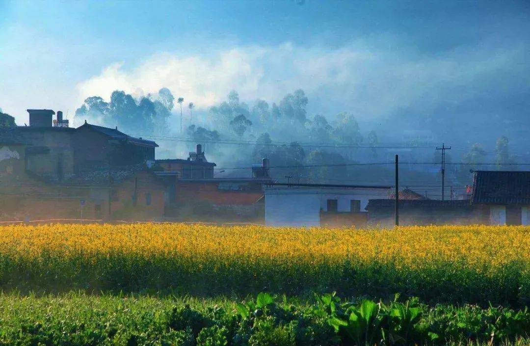 白先勇台北人典藏版,白先勇书籍台北人