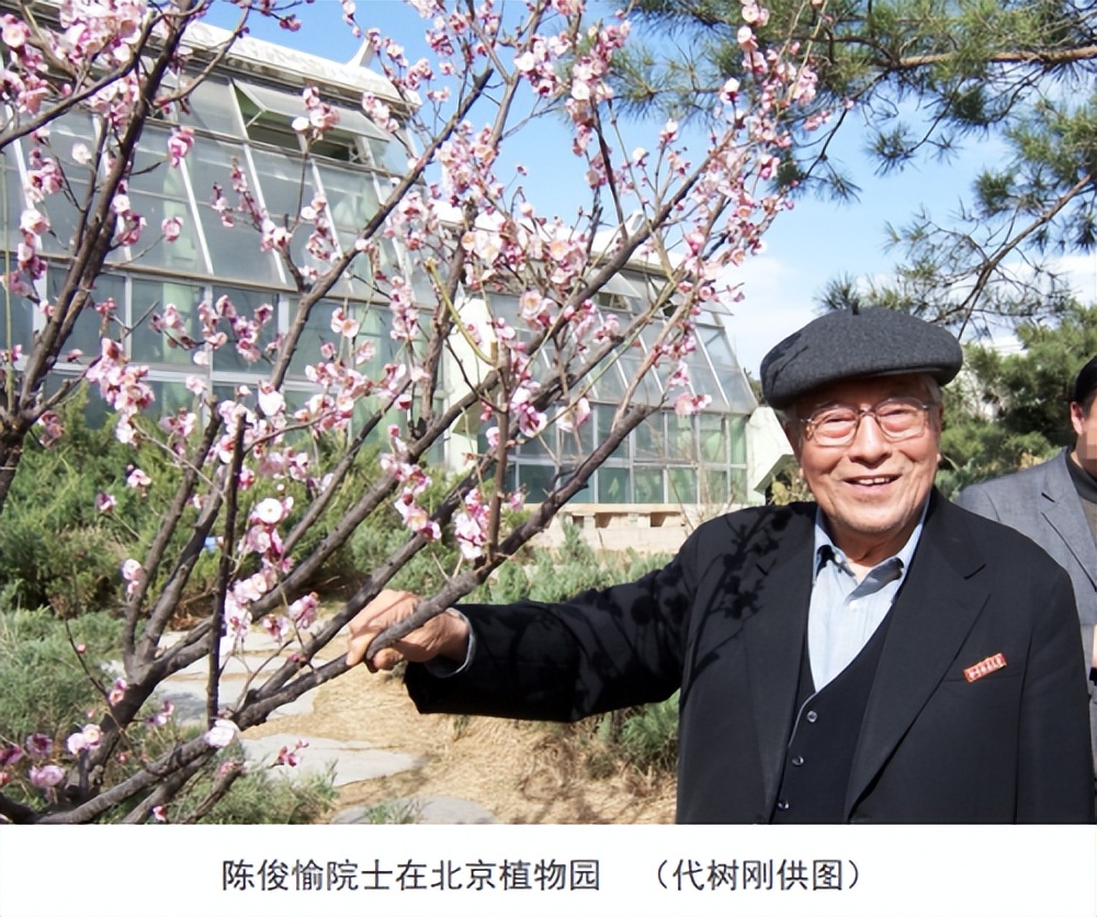 代树刚：“南梅北移”让京城百姓看得见梅花