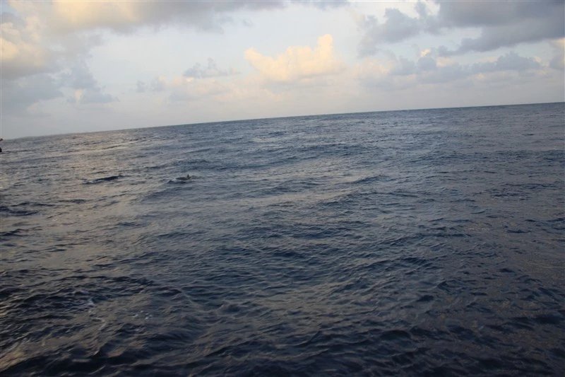 马尔代夫蜜月免费项目,蜜月旅游去马尔代夫哪个岛屿最好