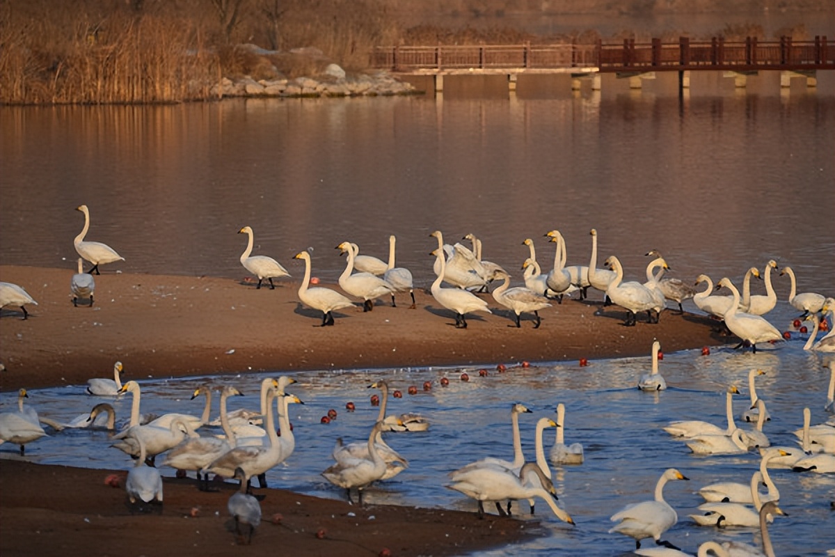 运城芮城由来,山西省运城市芮城县历史