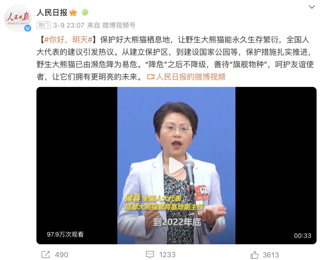 丫丫目前回国的样子,丫丫回国是好事还是坏事